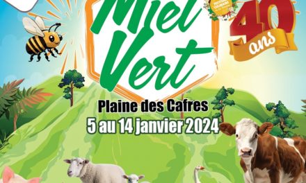 Miel Vert 2024 : L’incontournable fête réunionnaise de Janvier