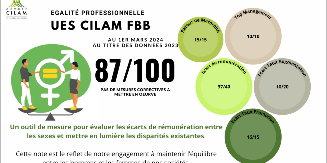 INDEX EGALITE FEMMES HOMMES 2024