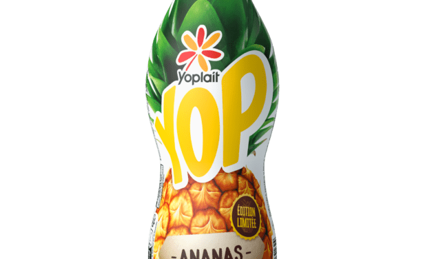 Nouveau Yop Ananas 450gr !